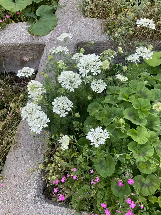 慈眼院(神奈川県)