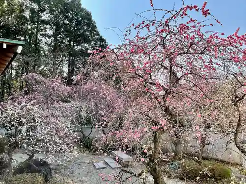 鬼法教総神苑(京都府)