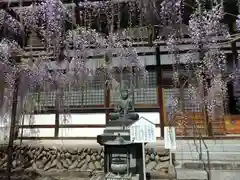 長泉寺の像