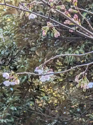 神明氷川神社(東京都)