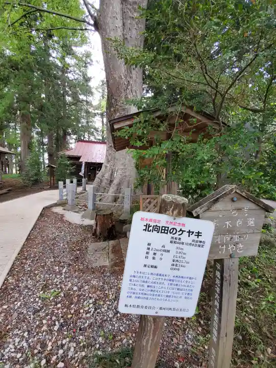 向田神社の自然