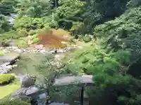 青蓮院門跡の庭園