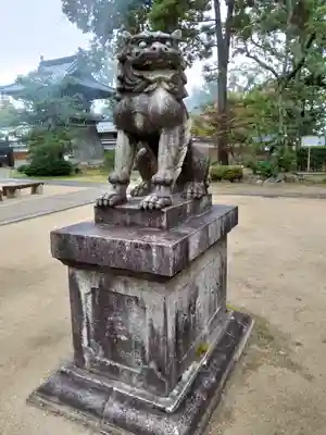 智恩寺の狛犬