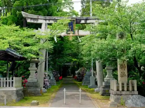 舟津神社の鳥居