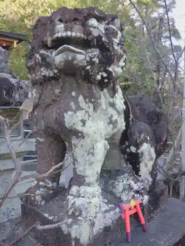 長岡天満宮の狛犬