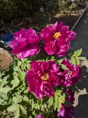 禅定院(東京都)