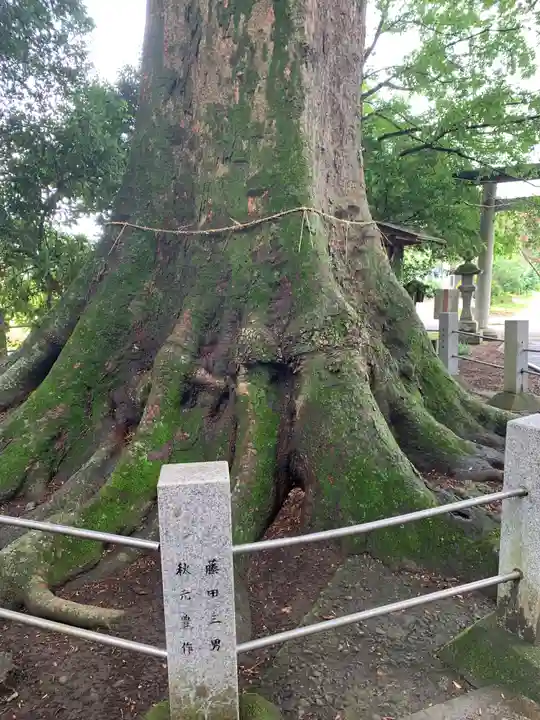 向田神社(栃木県)