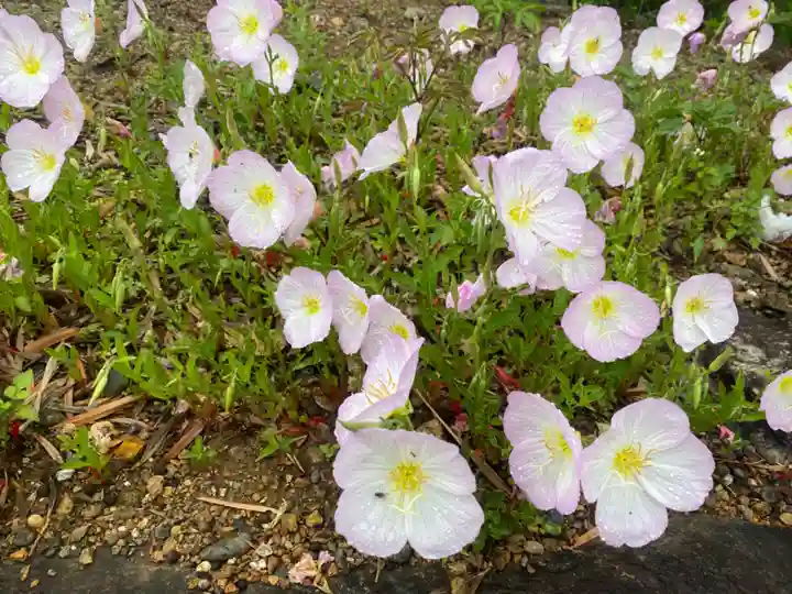 潮音寺(愛知県)