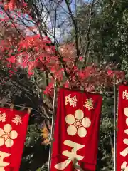 鹿島大神宮の建物その他