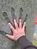 おいて