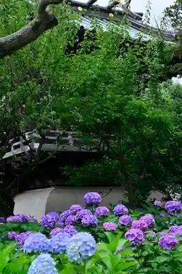 白山神社(東京都)