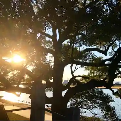 水天宮(福岡県)