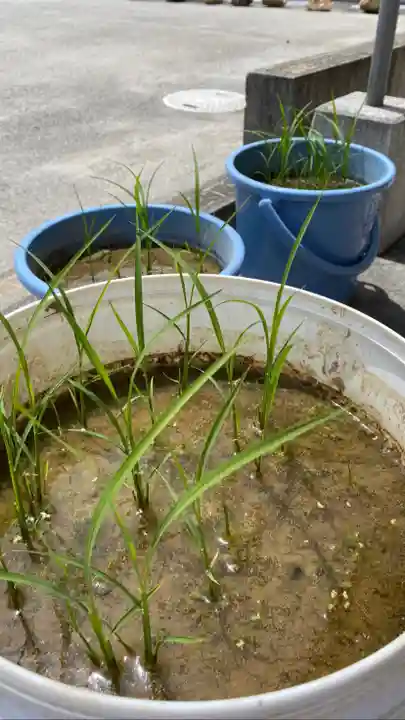 大鏑神社(福島県)