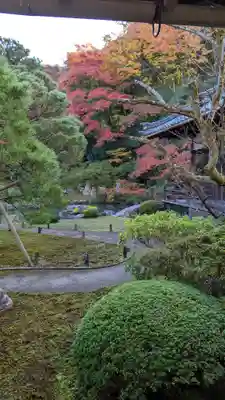 青蓮院門跡(京都府)