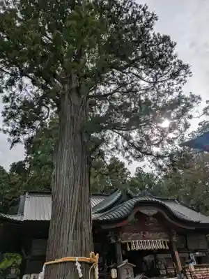 北口本宮冨士浅間神社(山梨県)