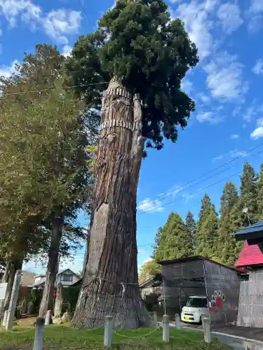 豊龍神社(山形県)