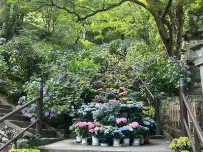 長谷寺(奈良県)
