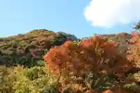 高司神社〜むすびの神の鎮まる社〜の景色
