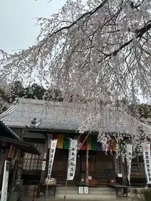 林陽寺の本殿・本堂