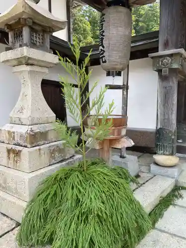 普賢院(和歌山県)
