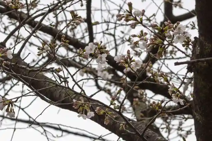 住吉神社(神奈川県)