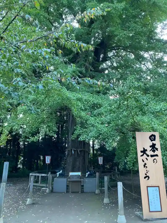 水戸八幡宮(茨城県)