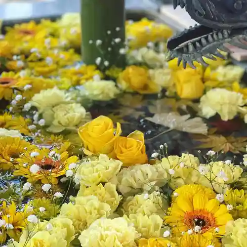 札幌諏訪神社の手水