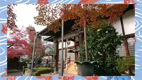 大蔵院(群馬県)