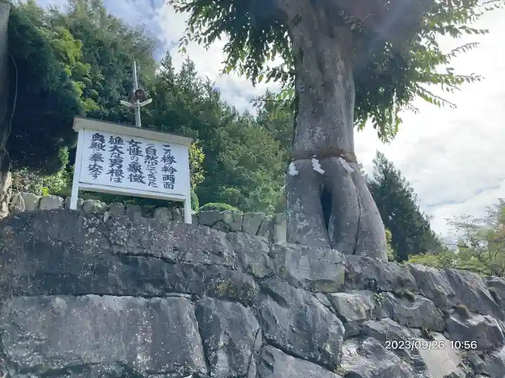 夫婦木神社(山梨県)