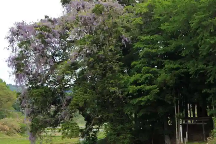 熊野大権現堂の自然