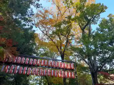 大崎八幡宮(宮城県)