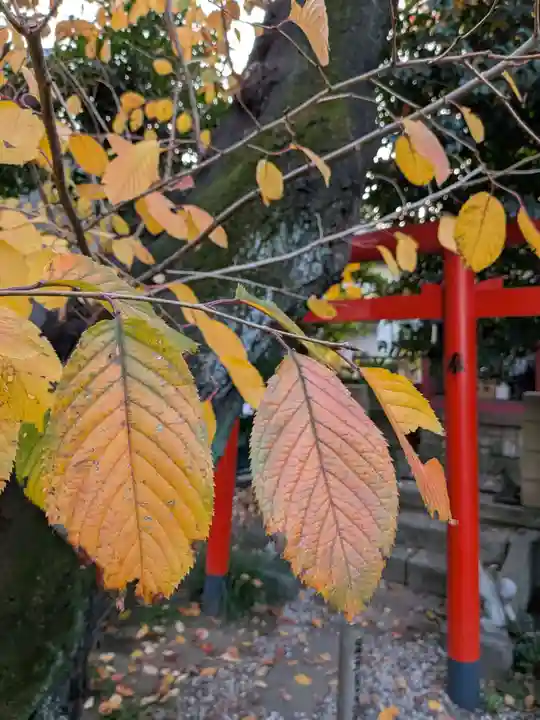 本郷氷川神社(東京都)