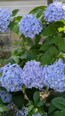 本法寺(京都府)