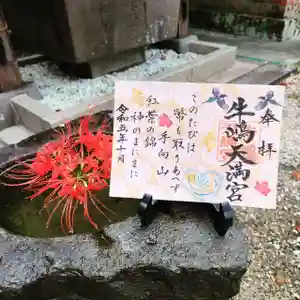 牛嶋天満宮(佐賀県)(2023年09月24日(日) 22時03分50秒投稿)