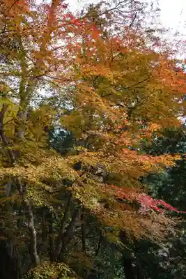 鞍馬寺(京都府)