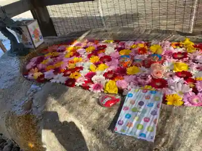 金井神社の手水舎