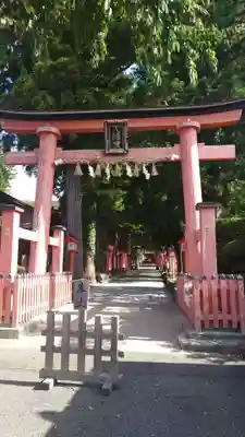 遠野郷八幡宮(岩手県)
