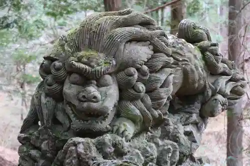 白山比咩神社の狛犬