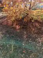 芝山神社の自然