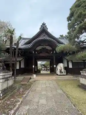 観音寺（世田谷山観音寺）の{uncategorized: "未分類", other: "その他", undefined: "問題あり", building: "その他建物", grave: "お墓", sacred_gate: "鳥居", guardian: "狛犬", statue: "像", buddha: "仏像", history: "歴史", nature: "自然", garden: "庭園", animal: "動物", pagoda: "塔", temizu: "手水舎", mountain_gate: "山門・神門", sanctuary: "本殿・本堂", subordinate: "末社・摂社", art: "芸術", scenery: "景色", jizo: "地蔵", ema: "絵馬", goshuin: "御朱印", omikuji: "おみくじ", items: "授与品その他", amulet: "お守り", goshuincho: "御朱印帳", eats: "食事", festival: "お祭り", votive_dance: "神楽", shichigosan: "七五三参", wedding: "結婚式", experience: "体験その他", initially: "初詣", around: "周辺", anti_infection: "感染症対策"}