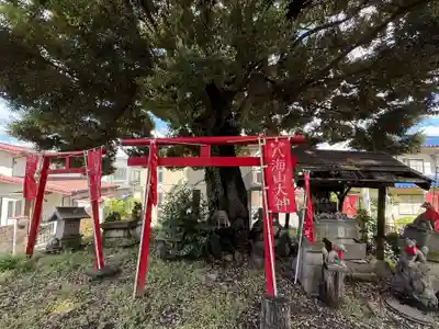 西森稲荷大明神(神奈川県)