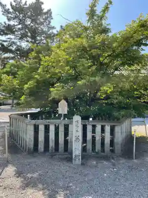 鶴林寺(兵庫県)