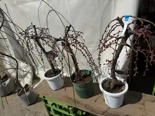 結城神社(三重県)