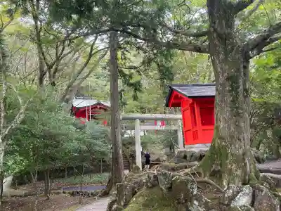 九頭龍神社本宮の{uncategorized: "未分類", other: "その他", undefined: "問題あり", building: "その他建物", grave: "お墓", sacred_gate: "鳥居", guardian: "狛犬", statue: "像", buddha: "仏像", history: "歴史", nature: "自然", garden: "庭園", animal: "動物", pagoda: "塔", temizu: "手水舎", mountain_gate: "山門・神門", sanctuary: "本殿・本堂", subordinate: "末社・摂社", art: "芸術", scenery: "景色", jizo: "地蔵", ema: "絵馬", goshuin: "御朱印", omikuji: "おみくじ", items: "授与品その他", amulet: "お守り", goshuincho: "御朱印帳", eats: "食事", festival: "お祭り", votive_dance: "神楽", shichigosan: "七五三参", wedding: "結婚式", experience: "体験その他", initially: "初詣", around: "周辺", anti_infection: "感染症対策"}
