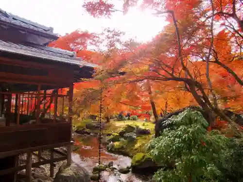 宝厳院の庭園