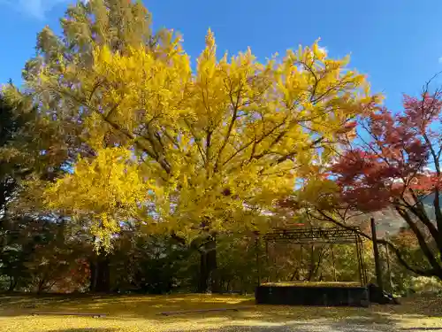 北畠神社の自然