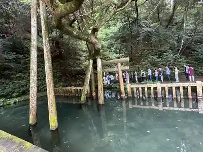 鹿島神宮(茨城県)
