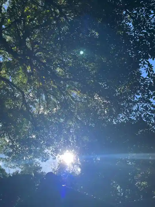 氷川女體神社(埼玉県)