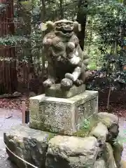 椿大神社の狛犬