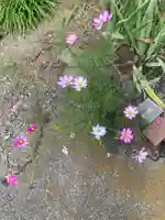 上国寺(神奈川県)